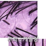 에벤에셀두피관리&발관리 | hair/두피관리/반영구화장/피부관리/속눈썹/패디플래닝 | 누구나 만족하는 발각질관리 받아보시라니까요~^^ #목포발관리 #목포발각질관리...
