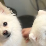 후기