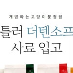 개밥파는고양이대자연점 | 개밥파는고양이 송파문정점 | 작년 한 해 저희 매장을 찾아주신 모든 고객 분들에게 감사드립니다❤️ 여러분들에게 갑진 한 해가 되도록...