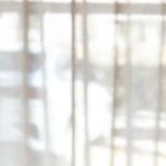 히비 안도 코하쿠 | #히비안도코하쿠 #日々and古白 🔹5월 2일... | Instagram Instagram의 히비 안도 코하쿠님 : "#히비안도코하쿠 #日々and古白...