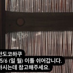 히비 안도 코하쿠님의 Instagram photo • May 4, 2024 at 1:06 AM Instagram의 히비 안도 코하쿠님