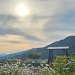 지리산반디스테이 | 지리산반디스테이 꽃물결이 일렁이는 아침입니다... 되어가네요 ♡♡♡ #지리산반디스테이 #반디스테이 #지리산 뷰 맛집...