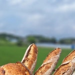비건빵.베이킹클래스.사워도우.천연발효빵 | 통밀깜빠뉴. 올만에 버터올려 묵으야지~~^^ | Instagram Instagram의 비건빵.베이킹클래스....