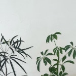 울산꽃집 반구동꽃집 댄싱플로 | 비가 많이 오네요-! 오늘 방문해주셔서 감사합니다 @dancing.flo._ | Instagram Instagram의 울산꽃집...