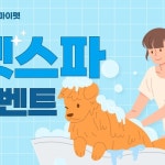 디어마이펫그루밍✂️ | #디어마이펫그루밍_콩이 귀툭 넘 잘어울리는... #디어마이펫그루밍 #간석동애견미용 #구월동애견미용 #십정동애견미용...