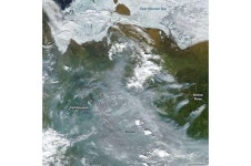 So rest(소유식) | Siberia heat wave: why the Arctic is warming so much faster than the rest of the world