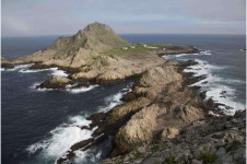 Little rodent, big appetite: Researchers identify the dietary impacts of invasive mice on the Farallon Islands