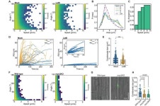 Myosin makes the moves to keep cell processes humming along