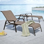Darby Home Co Bernarda Sun Lounger Set & Reviews | Wayfair Bernarda Sun Lounger Set