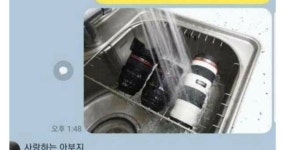 효심조아상사 | 효심 - 세리에매니아