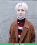 Roda (로다) | Shared Folder | M.O.N.T (몬트) Amino Amino