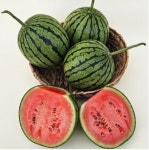 카페아이엔지 이화여대점 | 디너의여왕 - CNN Cafe 이화여대점 - 서대문구 대현동 카페 디저트 카페 추천맛집