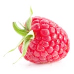로제베리Roseberry | 라즈베리 — 스톡 사진 © Maks_Peoplenko #69388571 라즈베리