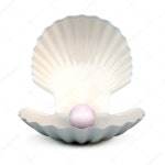 Shell pearl on a white — Stock Photo © 3DMAVR #87103052 Shell pearl on a white