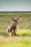 워터그래프 유한회사(Watergraph LLC.) | Waterbuck 보고