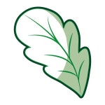 프랙탈이엔씨 | Game leaf Vector Images | Depositphotos
