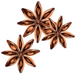 Anise Vector Images | DepositPhotos