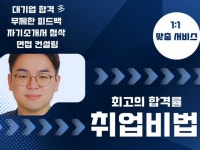 대기업 합격 수강생 多, 자소서 첨삭, 면접컨설팅 - 크몽