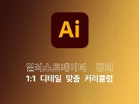 일러 1대1 그래픽디자인 강의 기초, 실무, 포트폴리오 - 크몽