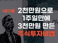 2000만원으로 6일만에 3000만원 만든 주식투자방법 - 크몽