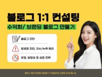 블로그 컨설팅(1:1)-진단 고민해결 맞춤 성장 방향 - 크몽