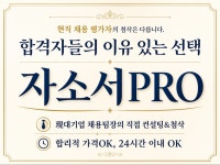 자소서 처음써도OK 현직 채용팀장과 만드는 합격 자소서 - 크몽