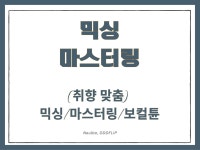 (취향 맞춤) 믹싱/마스터링/보컬튠 - 크몽