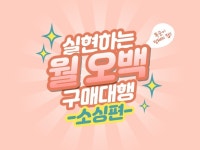 초보가 왕초보와 함께 실현하는 월 오백 구매대행-소싱편 - 크몽