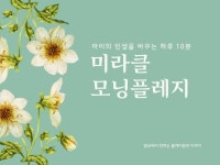 아이의 인생을 바꾸는 미라클 모닝플레지 - 크몽
