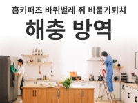 곰팡이제거/방역바퀴벌레퇴치/방역/유품정리/비둘기퇴치 | 대전, 바퀴벌레 빈대 등 해충 방역 쥐 비둘기 퇴치 - 크몽