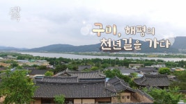 세상의모든기행 세상의모든기행 - 구미, 금오산이 품은 도시
