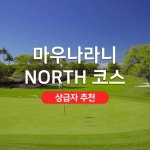 하나투어 : 꿈꾸는 대로, 펼쳐지다