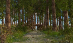 Fantasy Path Forest 3D 모델 - TurboSquid 1535670