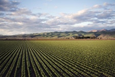 Green grass field near mountains Stock Photo Download Green grass field near mountains for free