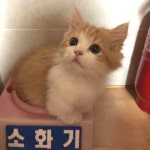 후기