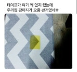 혜성테이프서울총판 | 테이프가 왜 여기에있지 - 에누리 쇼핑지식 자유게시판
