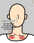 잘 풀어주면 진짜 얼굴 작아진다는 이곳들 - 에누리 쇼핑지식 자유게시판