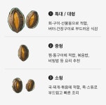 해신수산 완도활전복 특大 9-10미 1kg 최대판매상품_국내산(양식) - 이마트몰, 원하는 상품을 원하는 시간에 쓱, 이마트몰 해신수산...