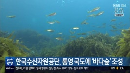 한국수산자원공단, 통영 국도에 ‘바다숲’ 조성 - kakaoTV 한국수산자원공단, 통영 국도에 ‘바다숲’ 조성