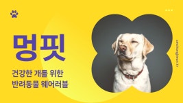 개 무료 이미지・디자인・샘플・템플릿 - Canva(캔바)