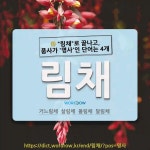 국어사전에서 🌾"림채"로 끝나고, 품사가 '명사'인 단어는 4개