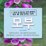 국어사전에서 🌾"모부"로 끝나는 단어 중에서, 한자 '謀 (꾀할 모)' 관련 단어는 18개