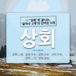 국어사전에서 🌾"상회"로 끝나는, '글자수 2개'의 단어는 6개