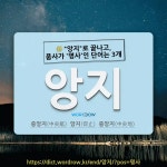 국어사전에서 🌾"앙지"로 끝나고, 품사가 '명사'인 단어는 3개
