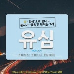 국어사전에서 🌾"유심"으로 끝나고, 품사가 '없음'인 단어는 3개