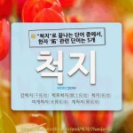 국어사전에서 🌾"척지"로 끝나는 단어 중에서, 한자 '拓 (헤칠 척, 박을 탁)' 관련 단어는 5개
