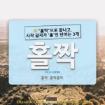홀짝음악홀 | 국어사전에서 🌾"홀짝"으로 끝나고, 시작 글자가 '홀'인 단어는 3개