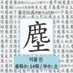 🌟대기 진상: 액체나 고체 상태의 수분을 거의 포함하지 않은 연기, 분진, 먼지 따위의 고체 입자가 대기 ... - 표준국어대사전