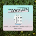 국어사전에서 🌏한자 "性 (성품 성)" 단어이고, '교육' 관련 단어는 10개