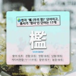 국어사전에서 🌏한자 "檻 (우리 함)" 단어이고, 품사가 '명사'인 단어는 17개